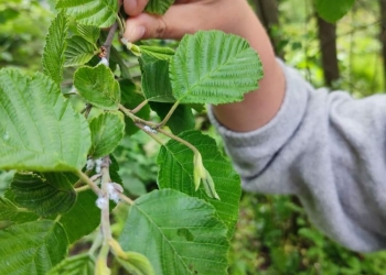 Wycieczka 1TAL- maj 2023