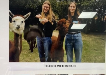 Wystawa fotograficzna Niezawodne zawody