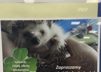 Wystawa fotograficzna Niezawodne zawody