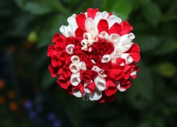 Narodowe Swięto Niepodległości w Skoczowie - obchody 2025