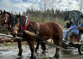 Wycieczka 4 TAL do Istebnej