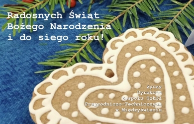 Radosnych Świąt Bożego Narodzenia!